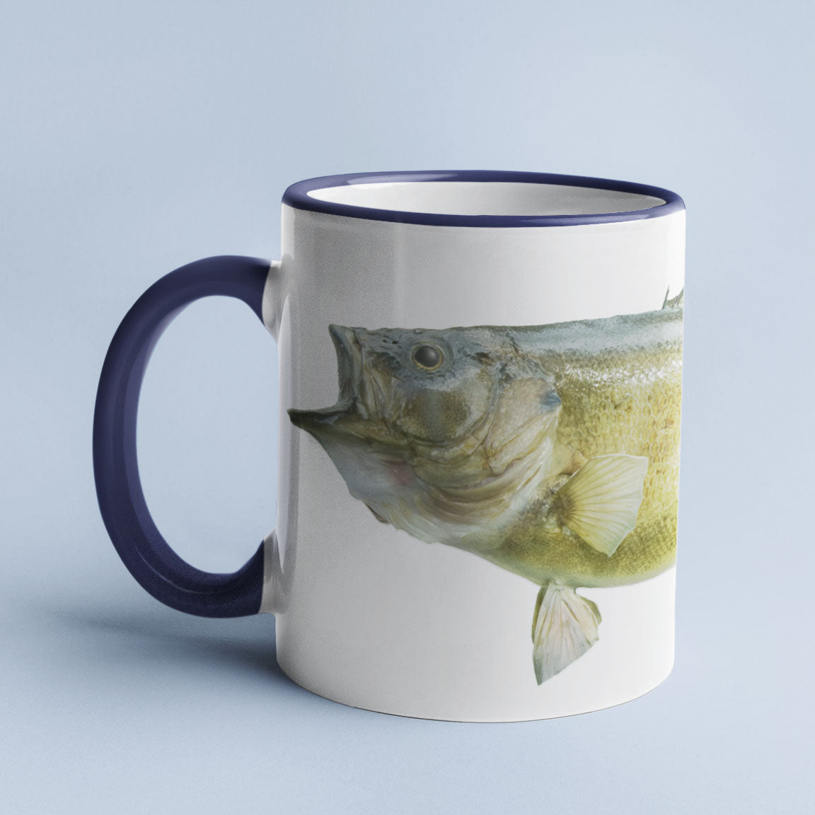 Smallmouth Bass accent mug with dark blue handle on light blue background.