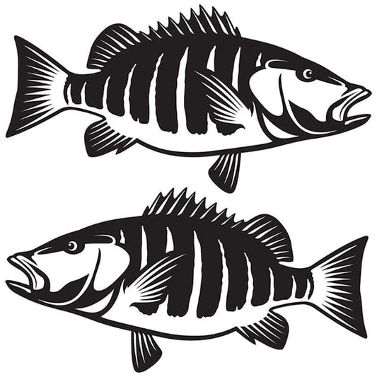 Customizable snapper wall decals, 40"-70" fish wall stickers, black and white design for bedroom decor.