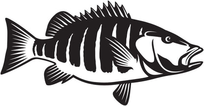 Striped bass fish wall decal with customizable size and text options, perfect for fishing enthusiasts. Large fish wall decals available.