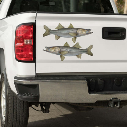 Large Snook decals on a pickup truck.