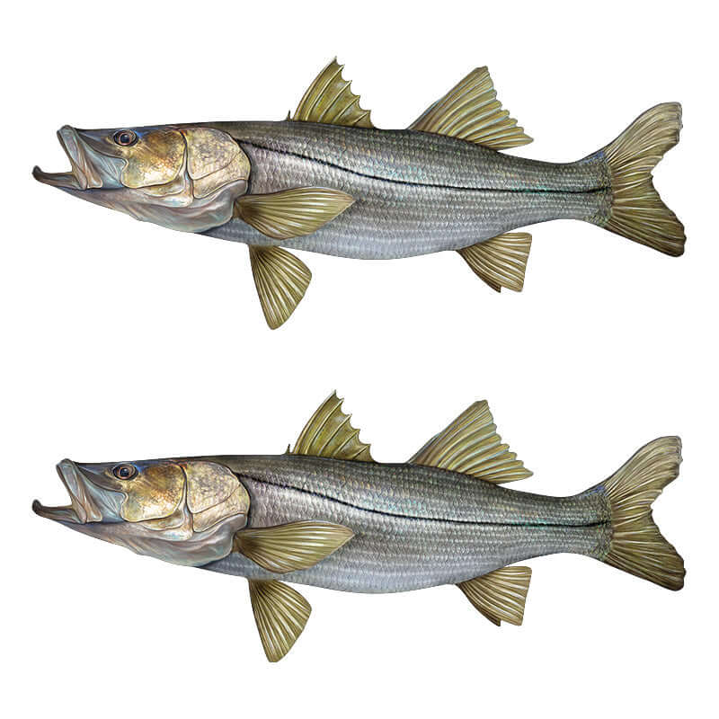 Snook Wall Decals