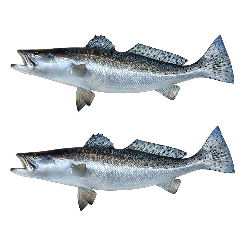 Spotted Seatrout Decals | 16"-60"