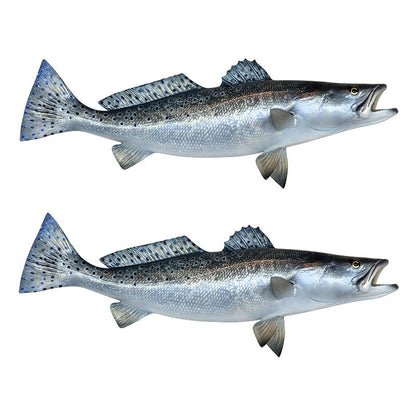 Spotted Seatrout Decals | 16"-60"