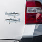 Spotted Seatrout stickers on a white truck.