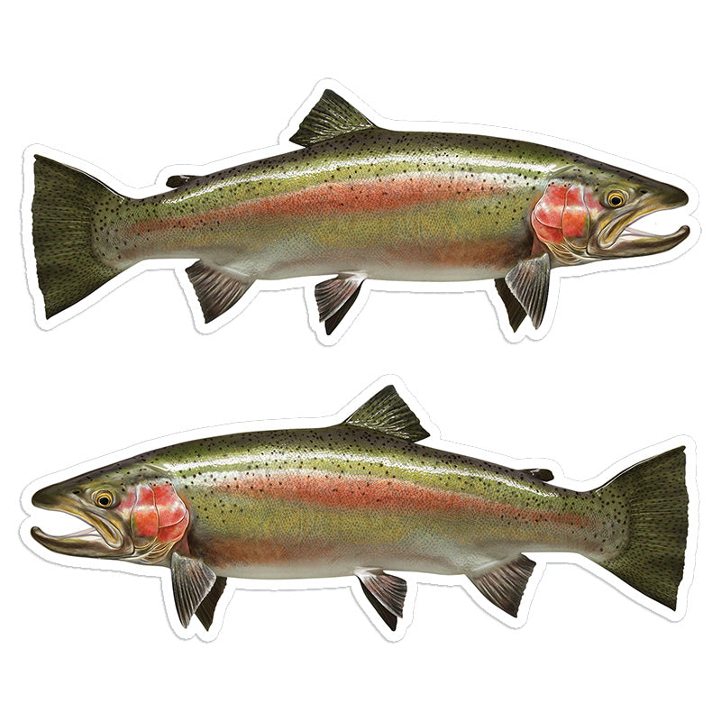 Steelhead Trout 8 inch stickers left and right facing.