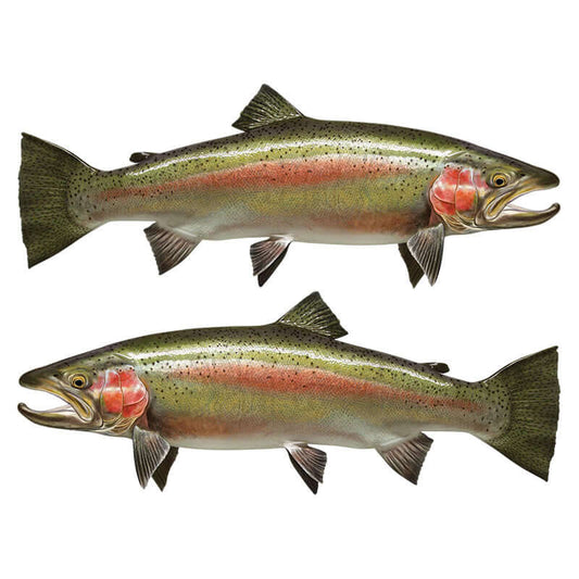 Steelhead trout fish wall decals with realistic design, customizable 40"-70", left or right facing options.