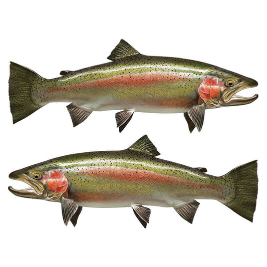 Steelhead trout, Rainbow Trout large decals left and right facing.