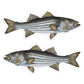 Striped Bass Striper 8 inch stickers left and right facing.