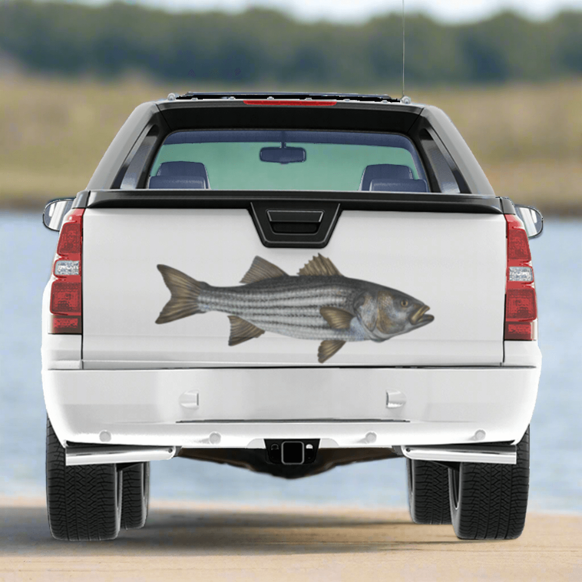 Striped Bass, Striper large decal on a pickup truck, by a saltwater estuary.