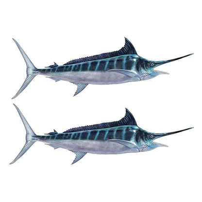 Striped Marlin Decals