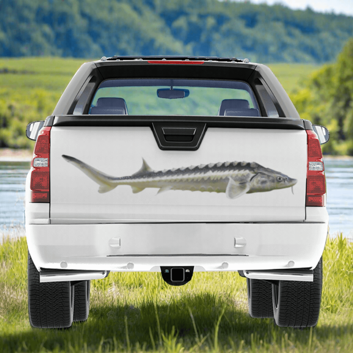 Sturgeon large decal on a pickup truck by a river.