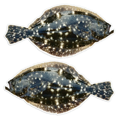 Summer Flounder Fluke 14 inch stickers left and right facing.