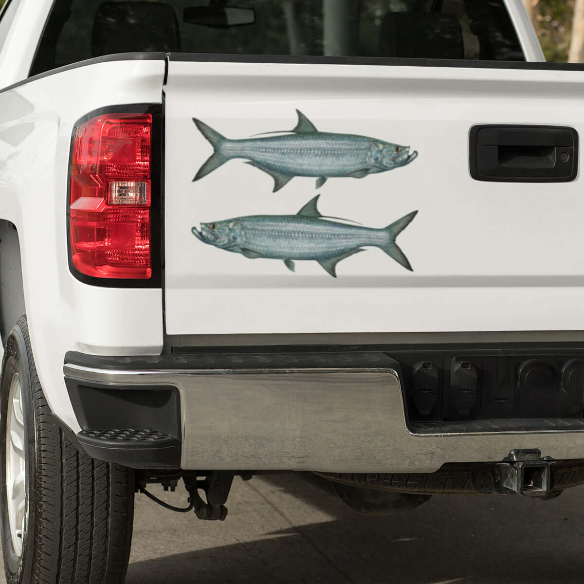 Tarpon large decals on a pickup truck.