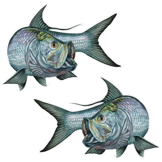 Tarpon stickers 13.5 inch, left and right facing.