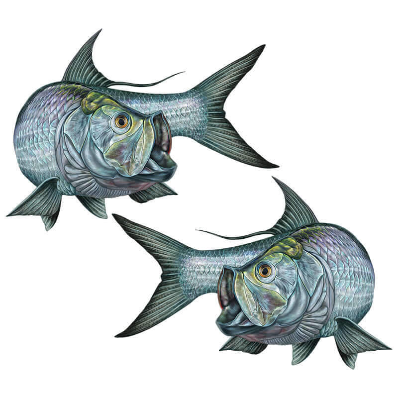 Customizable Tarpon fish wall decals 40"-70" with text options. Perfect large fish wall decor for enthusiasts.