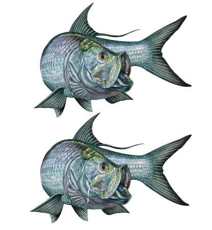 Customizable tarpon fish wall decals with text options, available in sizes 40"-70". Removable large fish wall decor for any enthusiast.