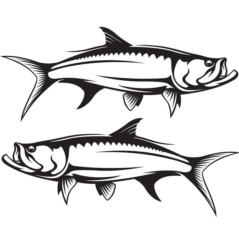 Tarpon large decals left and right facing.