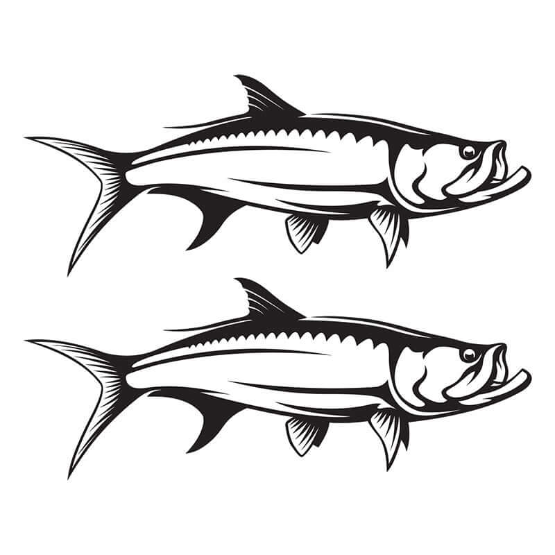 Two tarpon wall decals in black, showcasing customizable sizes from 40"-70" with text options. Ideal fish wall stickers for bedrooms.