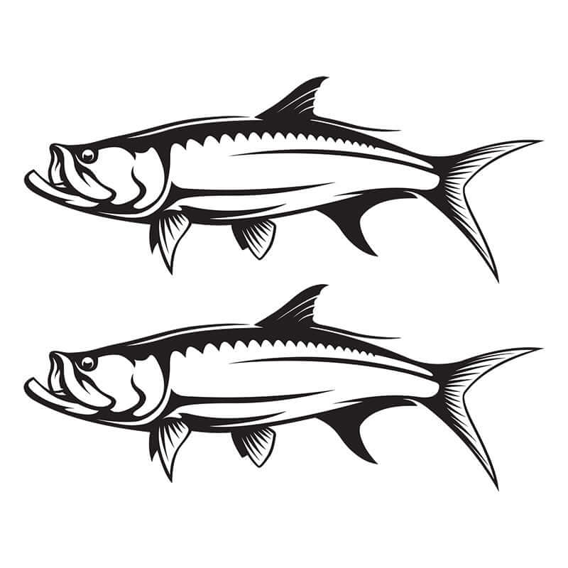 Tarpon decal left facing.