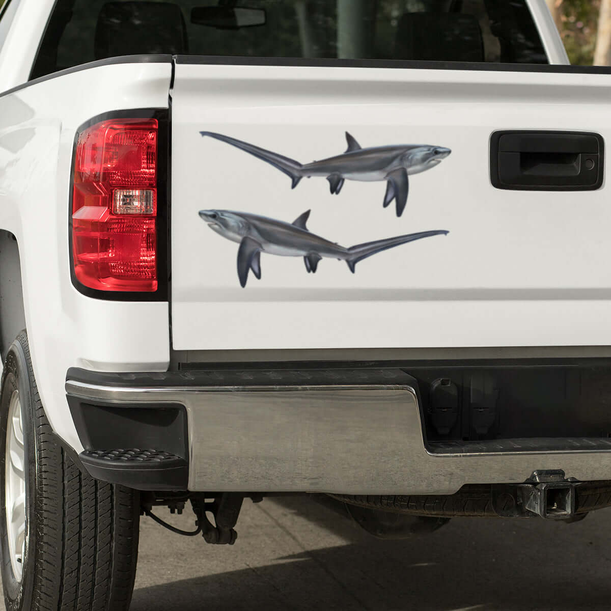 Thresher Shark large decal on a pickup truck.