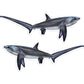 Thresher Shark 8 inch stickers left and right facing.