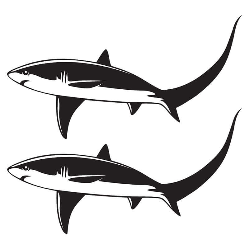 Thresher Shark decals left facing x 2.