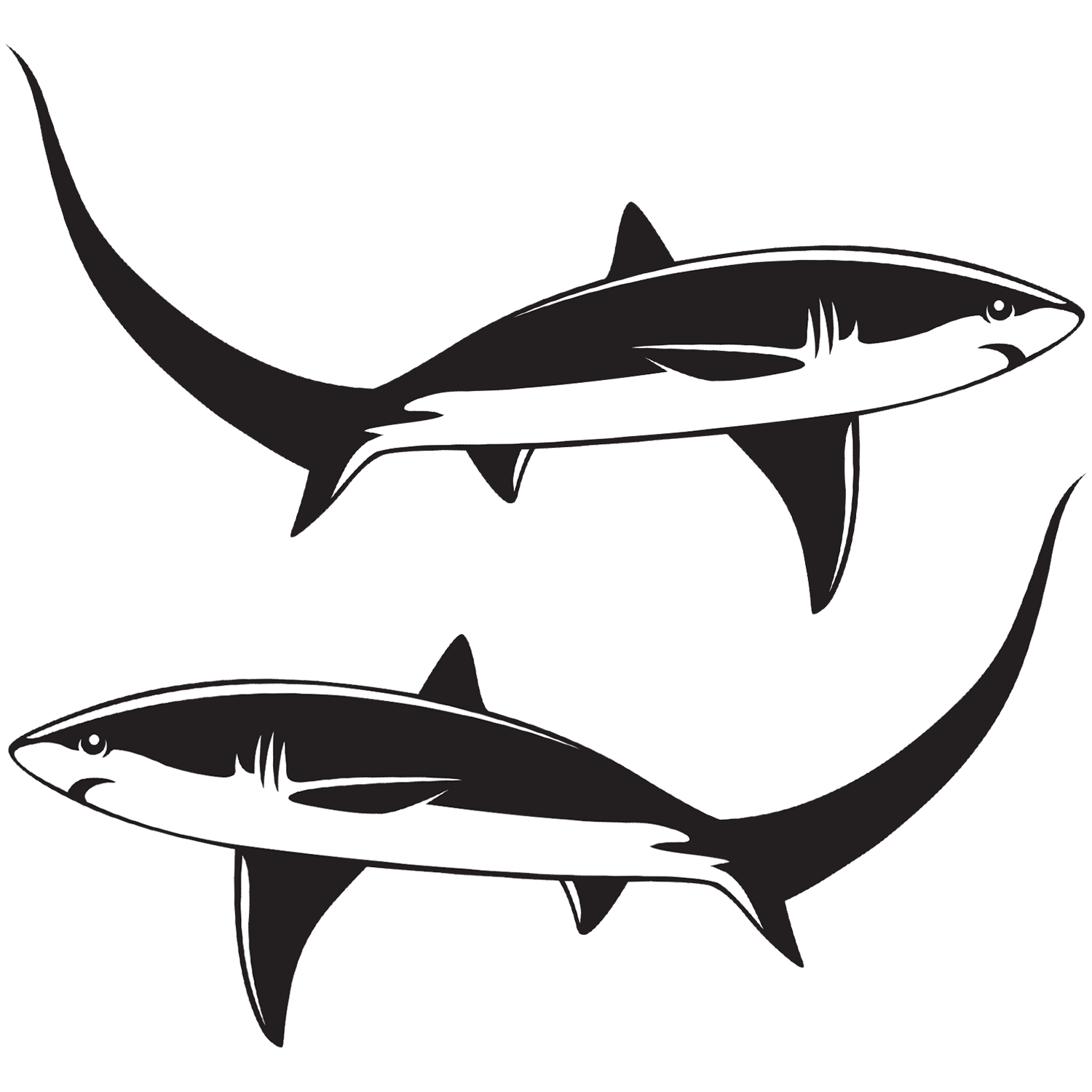 Thresher Shark decals left and right facing.