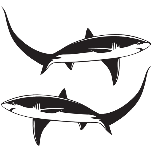 Thresher Shark Decals left and Right facing.