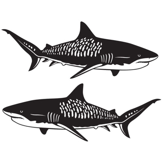 Customizable Tiger Shark fish decals for cars, available in 14"-70", perfect for vehicle decoration with cool fishing style.