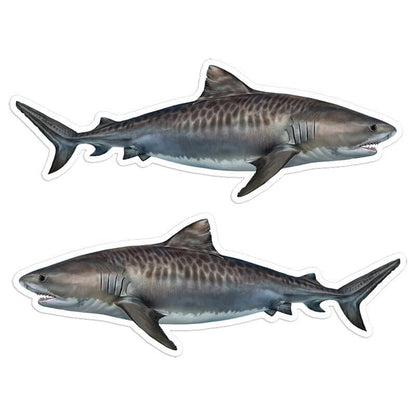 Tiger Shark - Stickers, Decals