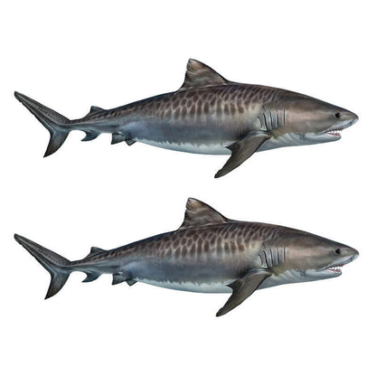 Tiger Shark Decals