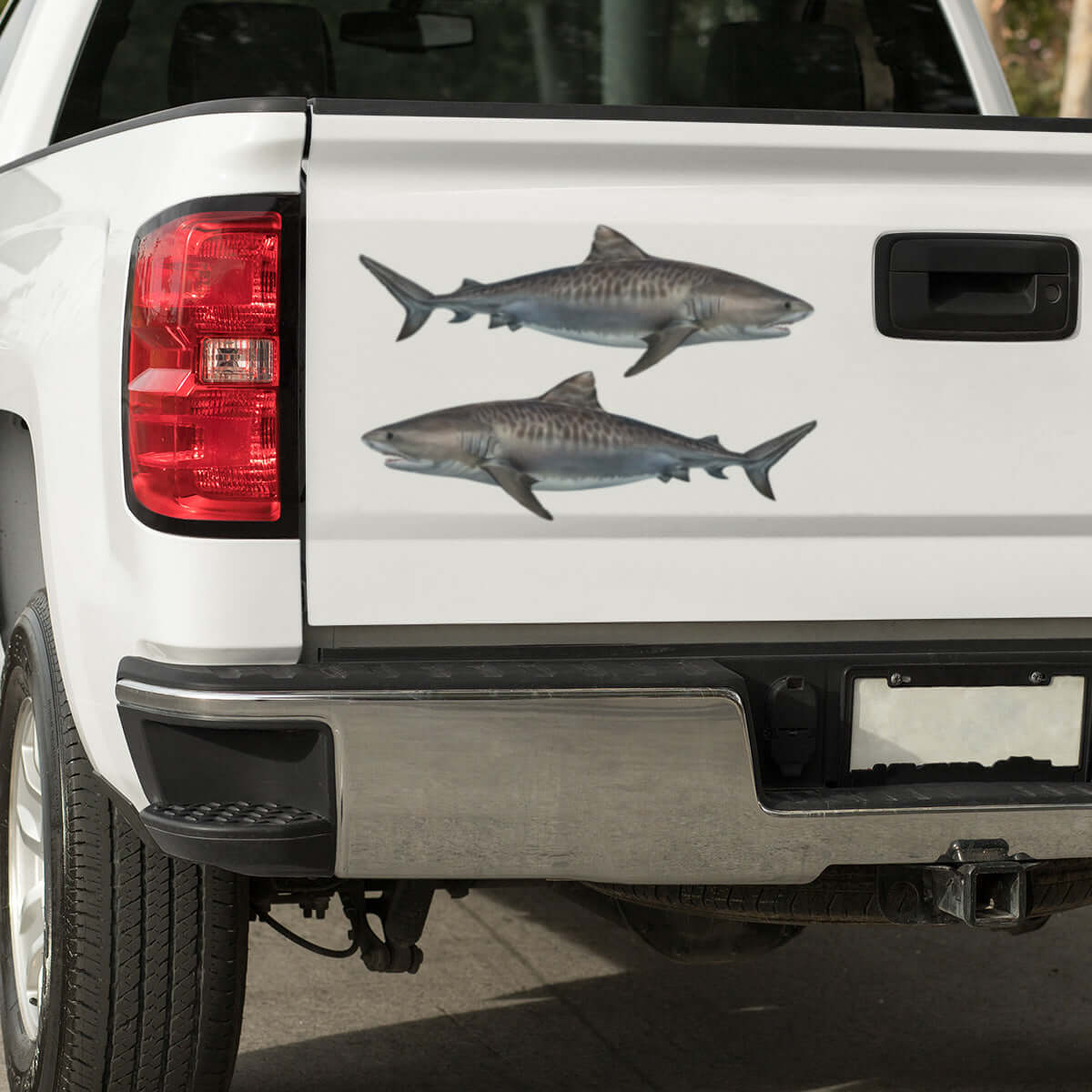 Tiger Shark large decal on a pickup truck.