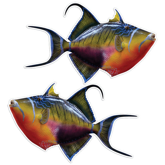 Triggerfish 14 inch stickers left and right facing.