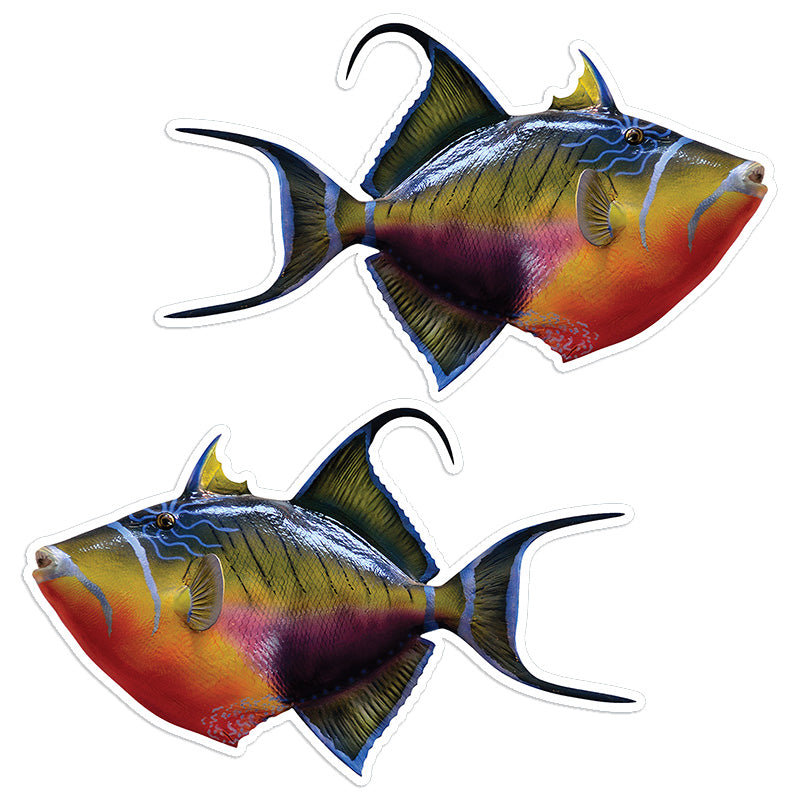 Triggerfish 8 inch stickers left and right facing.