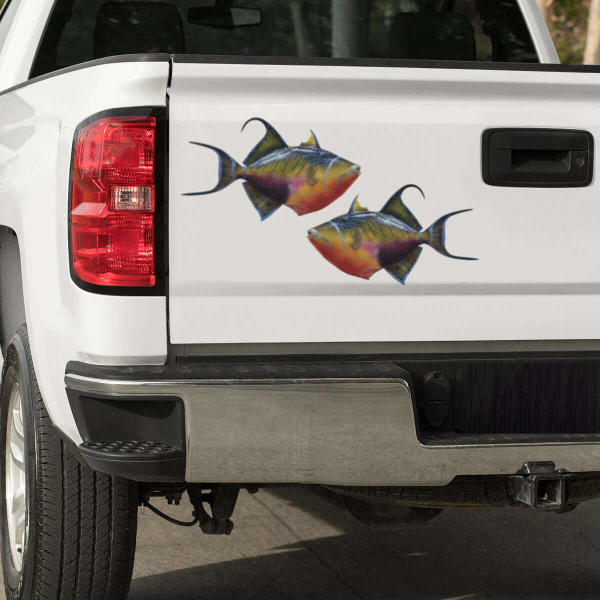 Triggerfish large decals on a pickup truck.