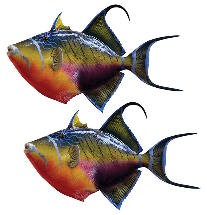 Triggerfish Decals | 16"-60"