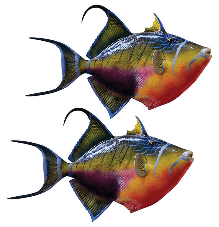 Triggerfish Decals | 16"-60"