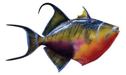 Triggerfish Decals