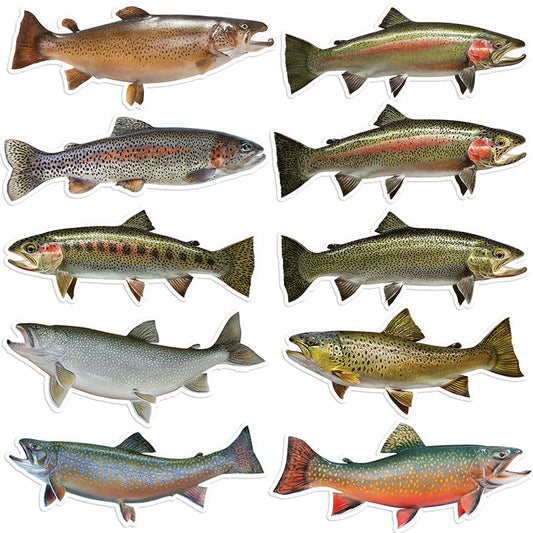Trout Stickers, mixed species, 20 pack. 5" 8" and 14" sizes.