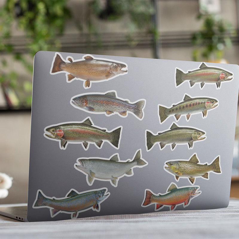 Trout stickers on a laptop.
