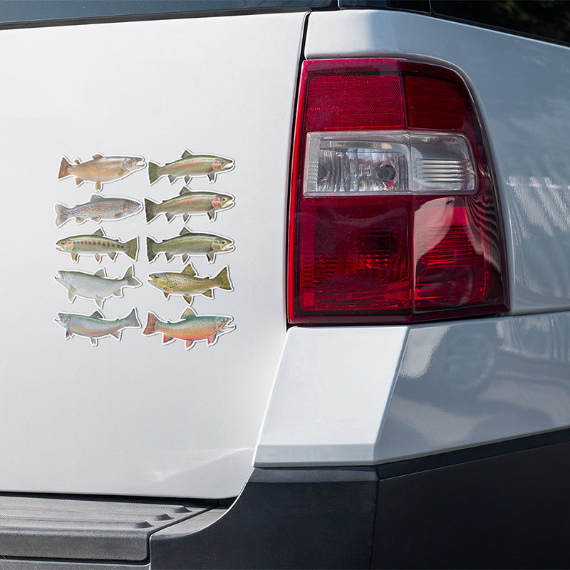 Trout stickers on a truck.