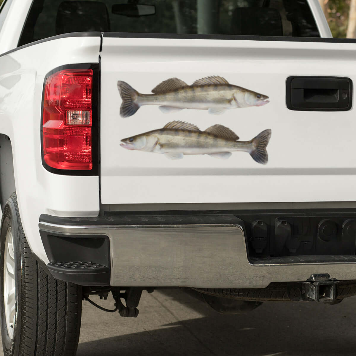 Walleye decals on a pickup truck.