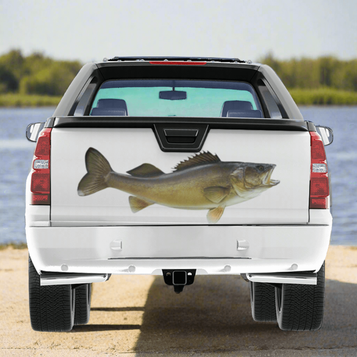 Walleye large decal on a pickup truck by a river.