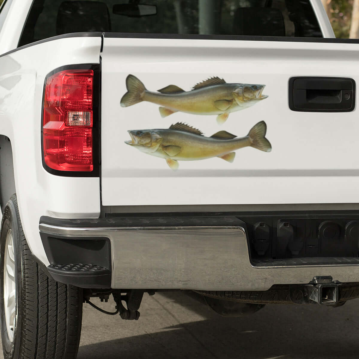 Walleye large decals on a pickup truck.