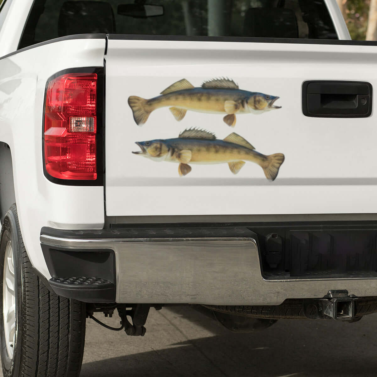 Walleye large decals on a pickup truck.