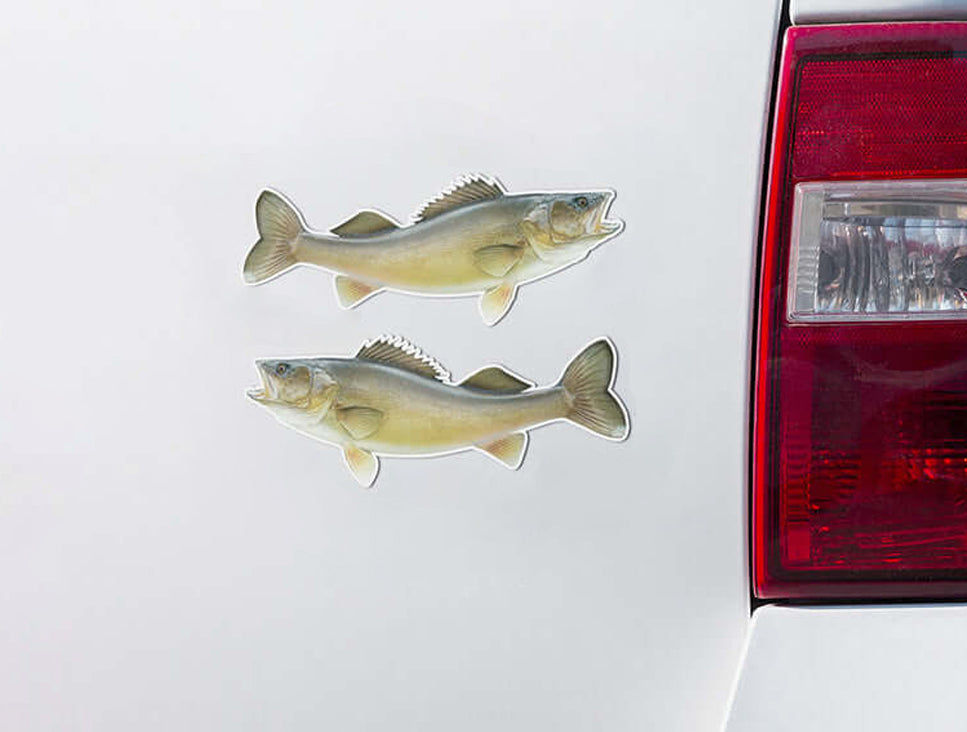 Walleye Stickers on a White Truck.