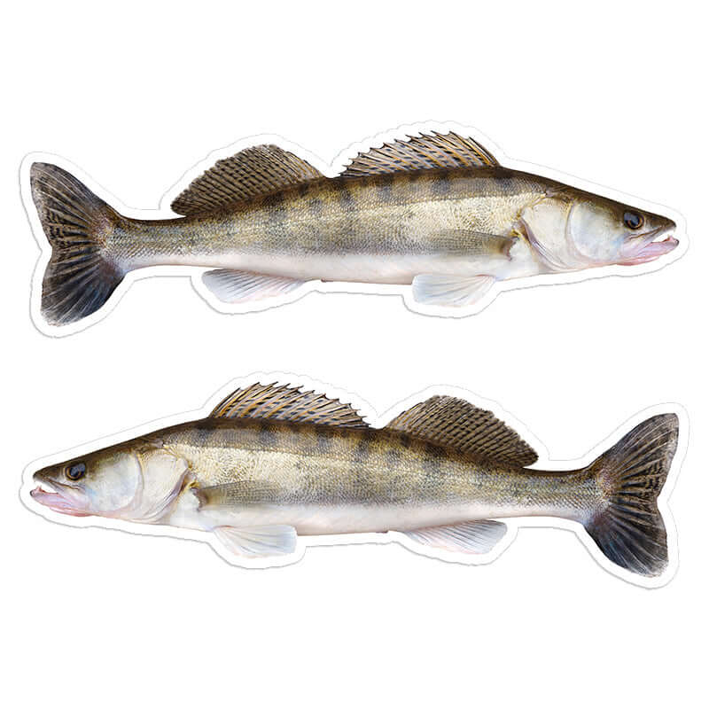 Walleye - Stickers, Decals