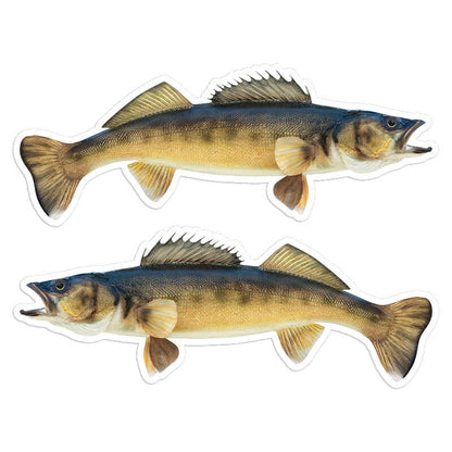 Walleye - Stickers, Decals