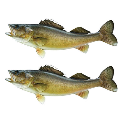 Walleye wall decals 40"-70", customizable size and text options, perfect for large fish wall decals or fish wall stickers for bedroom.