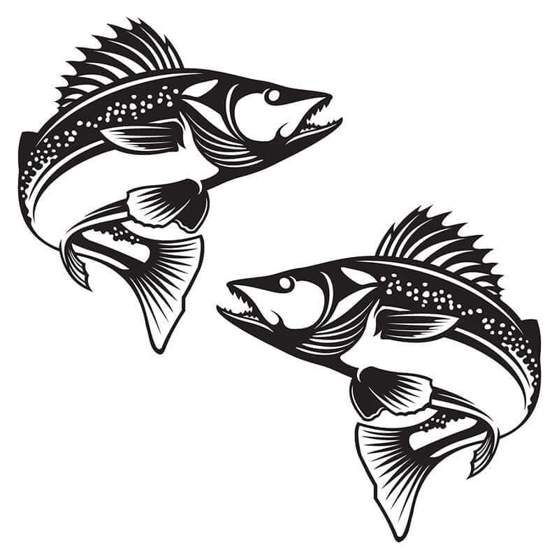 Walleye fish wall decals in black, customizable removable wall stickers, perfect for fish enthusiasts, available in 40"-70" sizes.